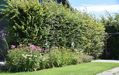 Camping Het Stammeland