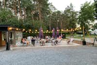 Camping Het Swinnenbos - Geselliger Abend auf der beleuchteten Terrasse umringt von Bäumen