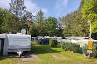 Camping Het Swinnenbos - schön gelegene Standplätze auf grüner Wiese mit Wohnwagen und Vorzelten, abgetrennt durch Hecken und Bäume 