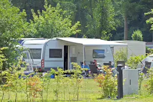 Camping Het Vossenhol - Standplätze auf dem Campingplatz