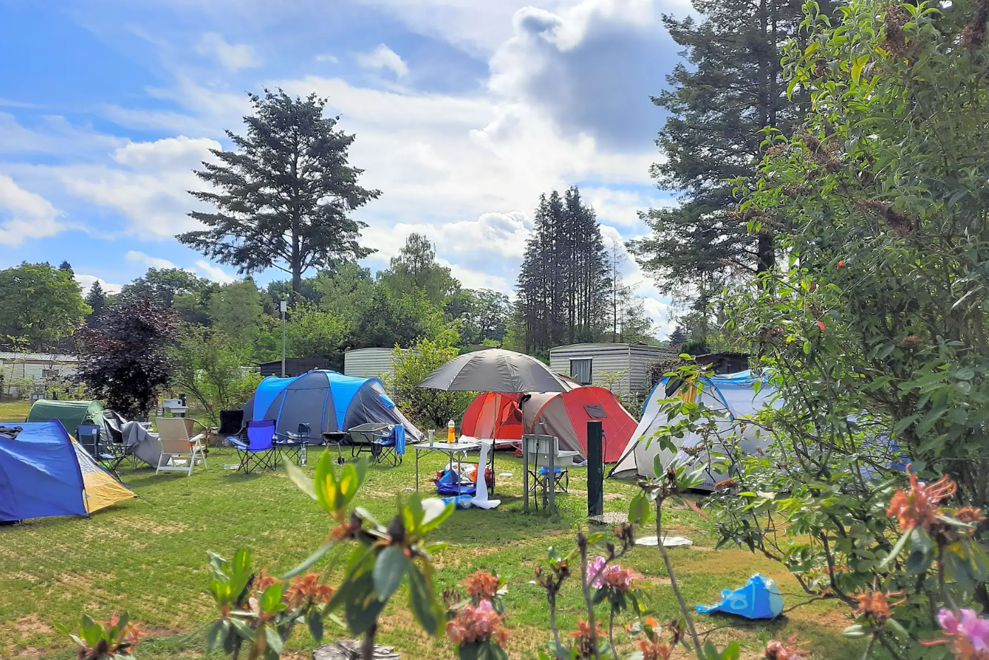Camping Het Vossenhol - Standplätze im Grünen auf dem Campingplatz