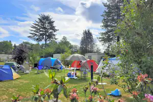 Camping Het Vossenhol - Standplätze im Grünen auf dem Campingplatz