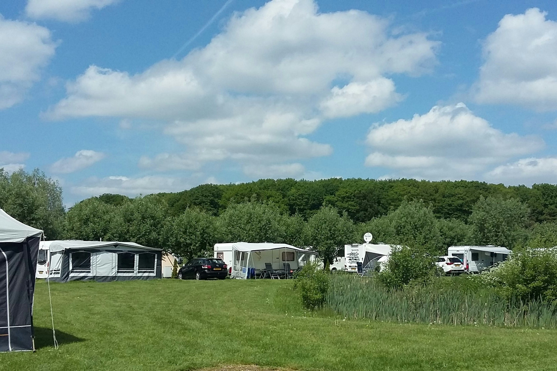 Camping Het Waldhoorn  - Stellplätze auf dem Campingplatz