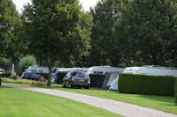 Camping Het Waldhoorn - Stellplätze auf dem Campingplatz