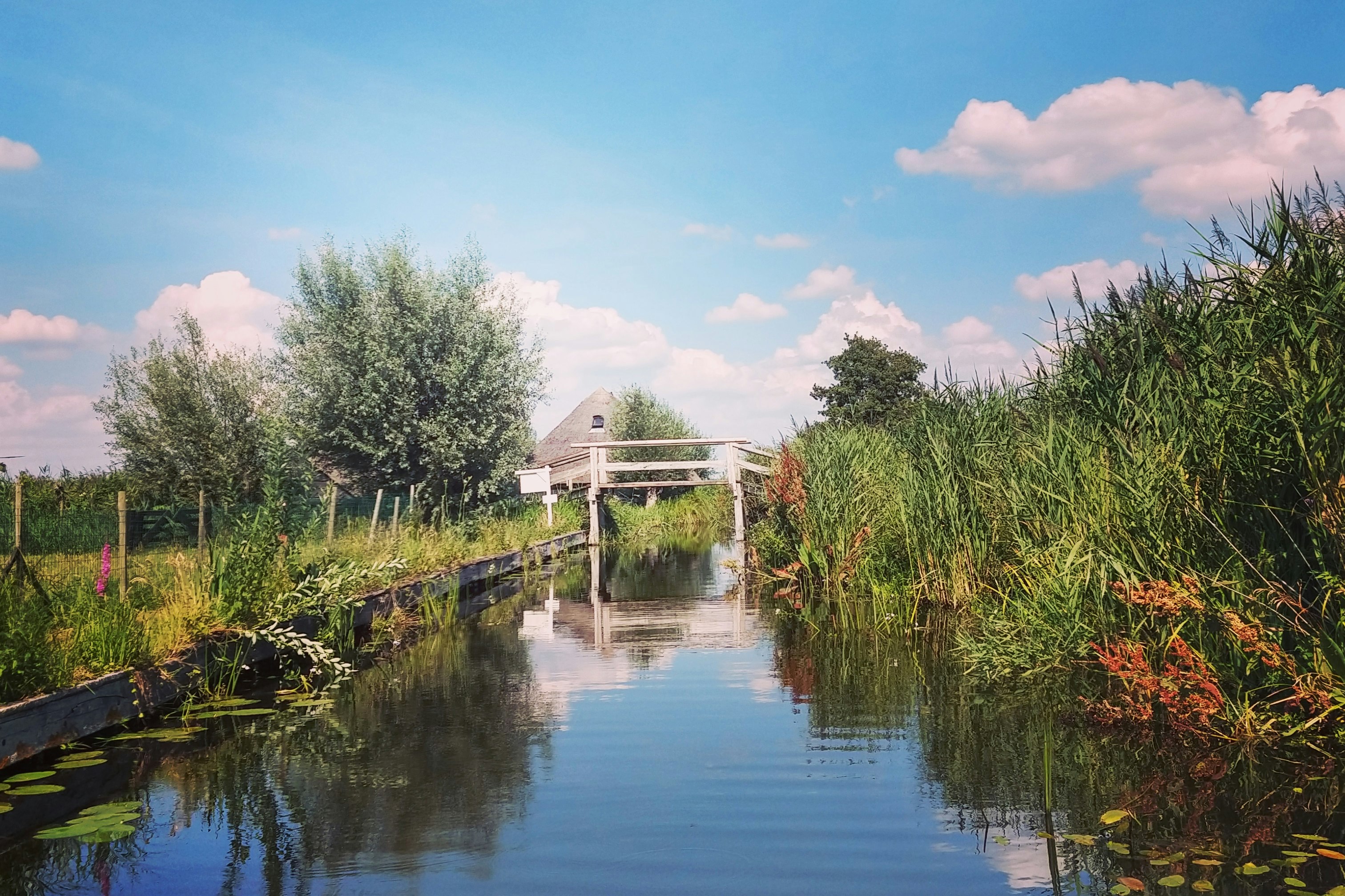 Camping Het Waterhoentje