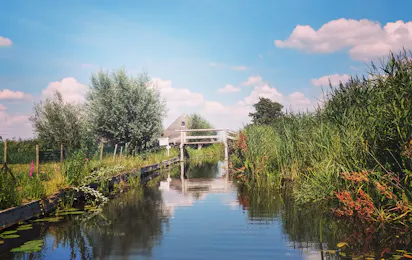 Camping Het Waterhoentje