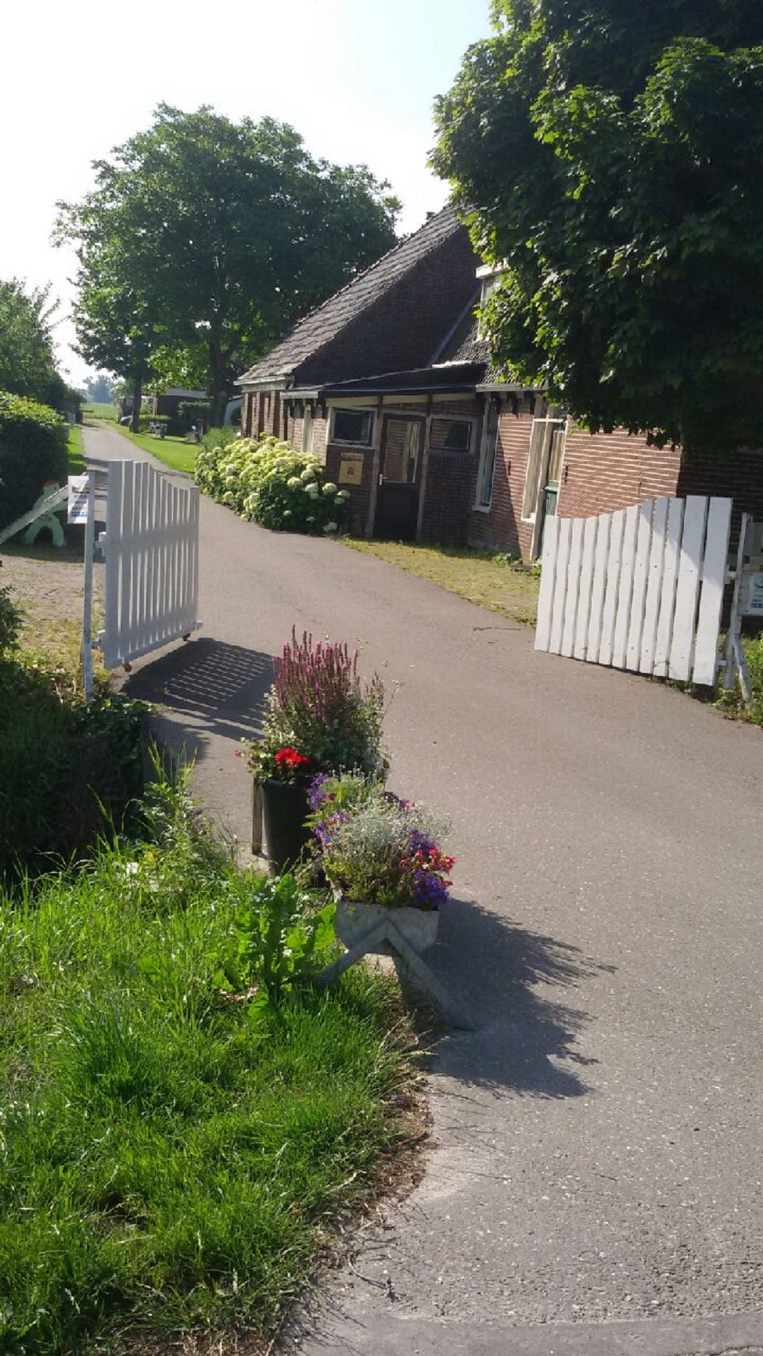 Camping Het WItte Hek