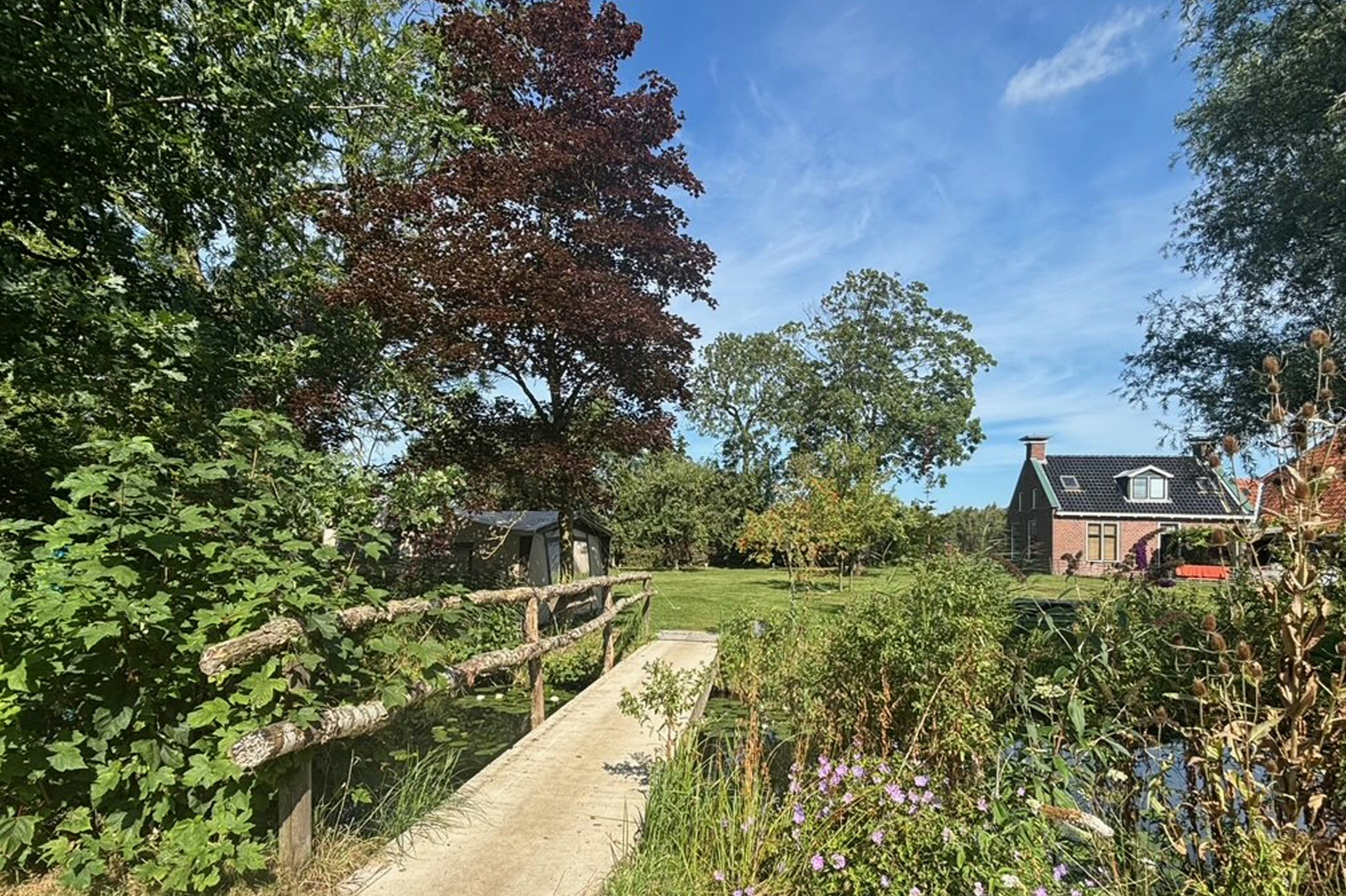 Camping Hiddema State - Blick auf den Campingplatz in der Natur