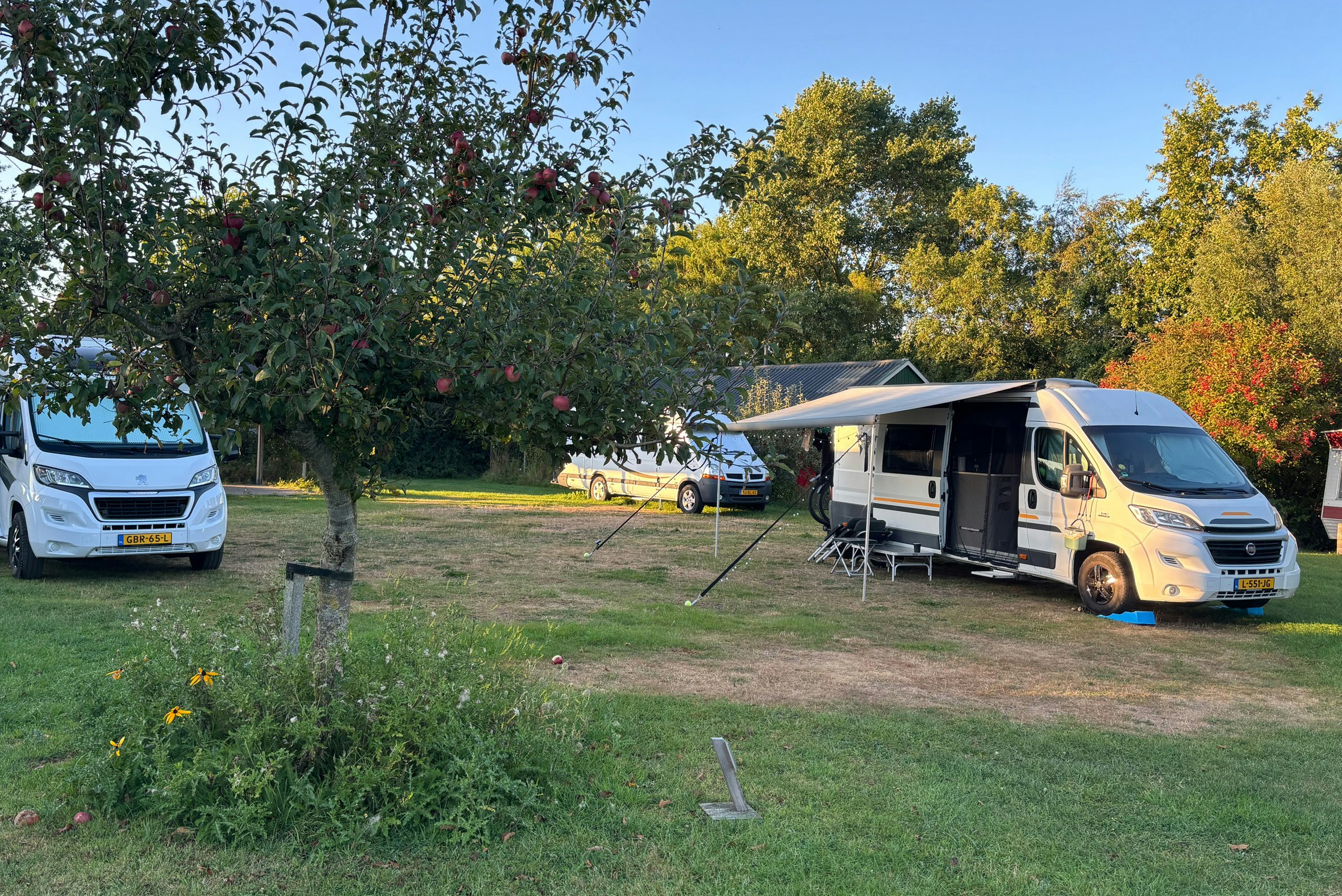 Camping Hiddema State - Standplatzwiese auf dem Campingplatz