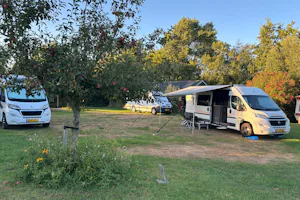 Camping Hiddema State - Standplatzwiese auf dem Campingplatz