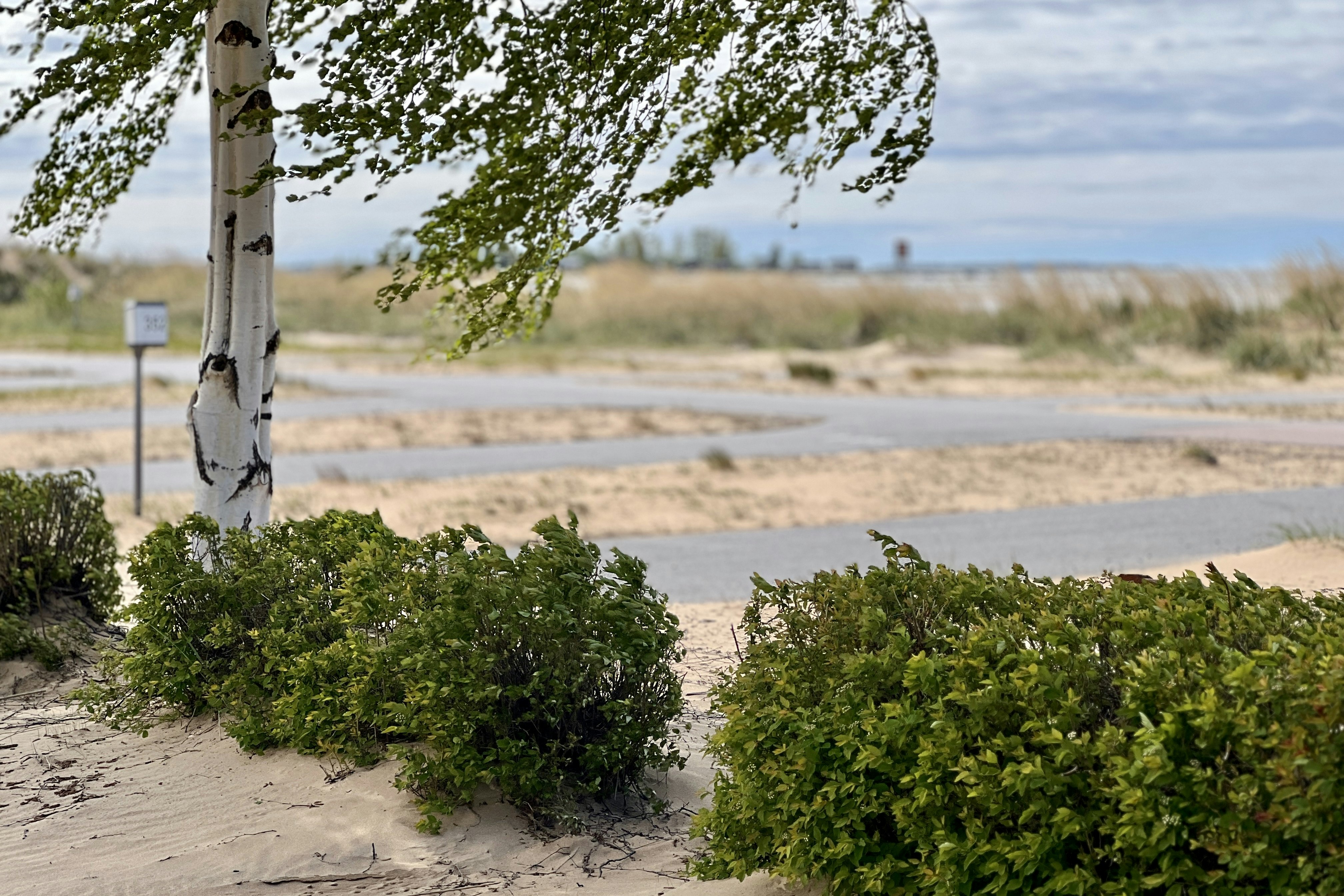 Top Camping Kalajoki  Camping Hiekkasärkät - Standplätze auf dem Campingplatz