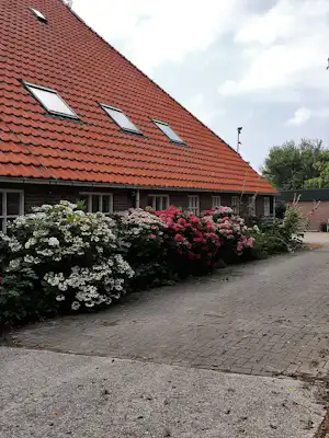 Haus mit rotem Ziegeldach, gepflasterter Einfahrt und blühenden Sträuchern entlang der Fassade.