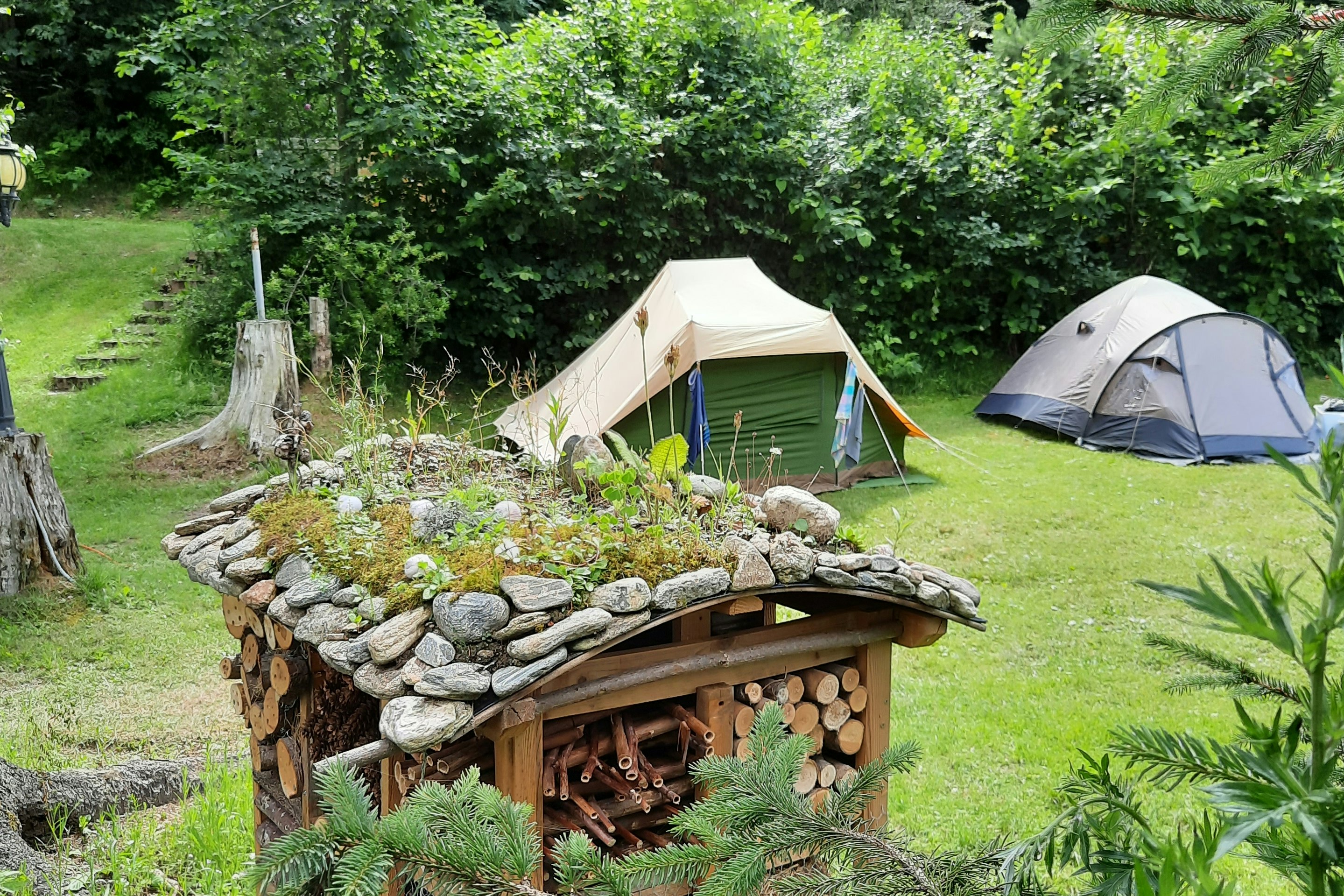 Camping Hirschegg - Zelten auf dem Campingplatz