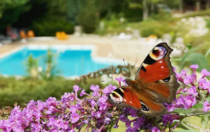 Domaine naturiste de l'Eglantière