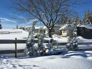 Winterlicher Campingplatz mit mehreren Zelten, verschneiten Wegen und Hecken, im Vordergrund ein Baum mit Schnee bedeckt.