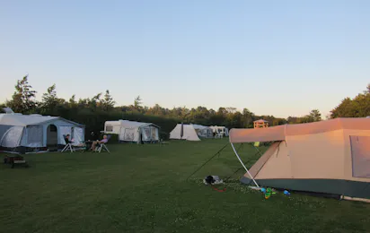 Camping Hoekvliet