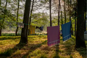 Camping Höllensteinsee - Handtücher im Sonnenlicht zwischen den Bäumen