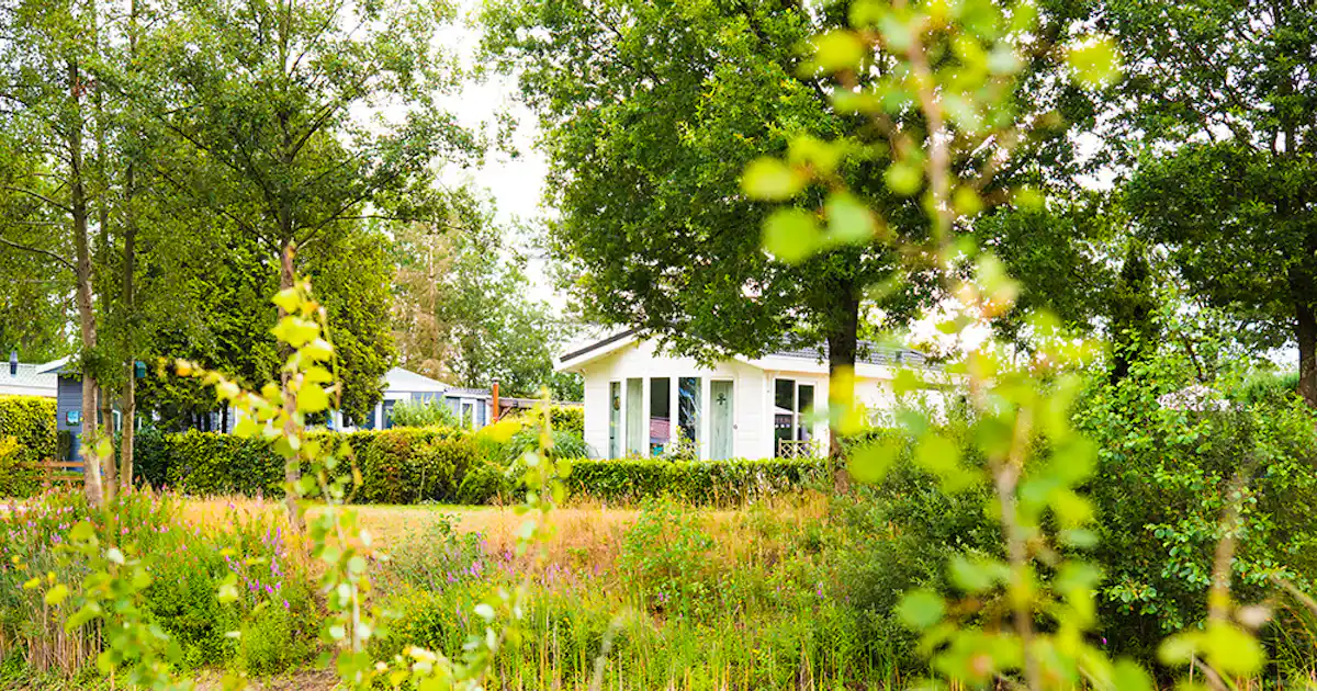Camping Hoeve aan den Weg photo 4