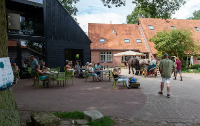 Camping Hoeve Springendal