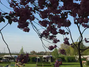 Camping Hof Maire