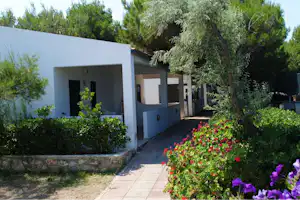 Weiße Ferienhaus-Reihe mit Eingängen, gepflasterter Gehweg und Blumenbeete im Garten, umgeben von Bäumen und Hecken.