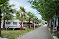 Camping Holiday  -  Stellplatz vom Campingplatz zwischen Palmen