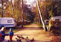 Camping Holsteenbron