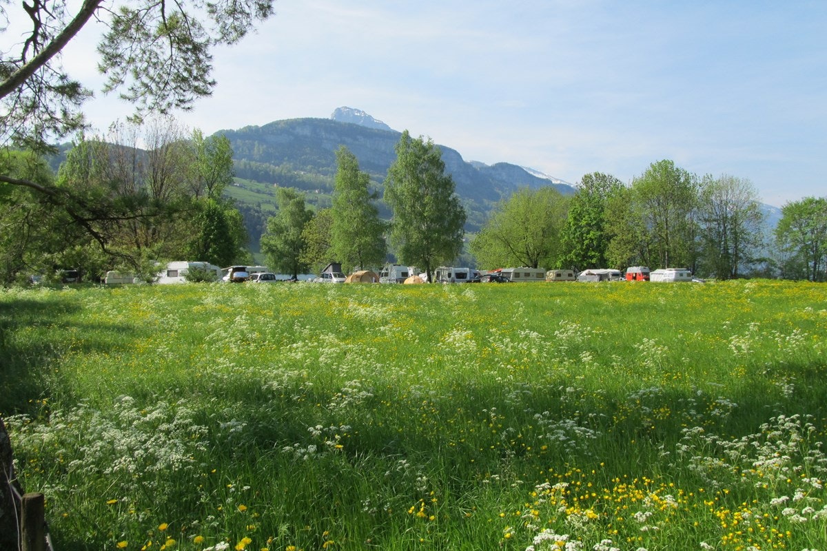 Camping Hopfräben - Wiese mit Blick auf die Berge und den Stellplatz vom Campingplatz
