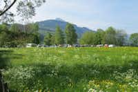 Camping Hopfräben - Wiese mit Blick auf die Berge und den Stellplatz vom Campingplatz