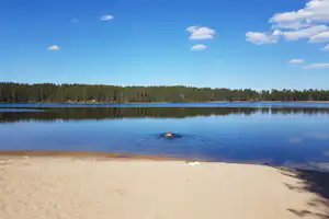Seeufer mit Sandstrand, ruhigem Wasser und Spiegelungen, dahinter ein Wald und ein hoher Mast im Hintergrund.