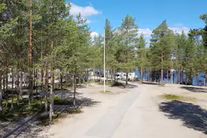 Campingplatz-Allee mit hohen Kiefern, Kiesweg und Wohnmobilen am Rand, dahinter Wasser und Himmel mit Wolken.