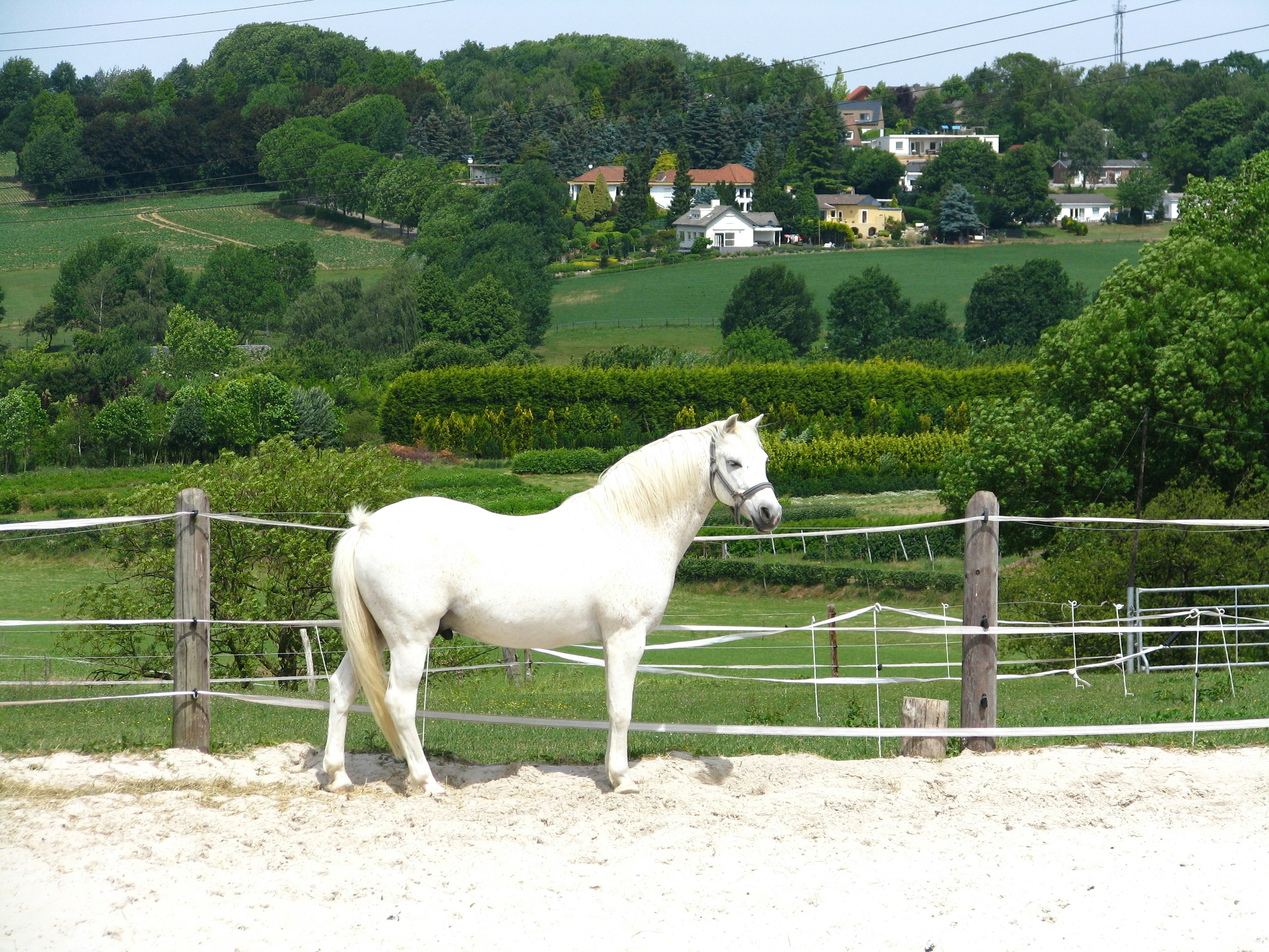 Camping Hubertus Hoeve