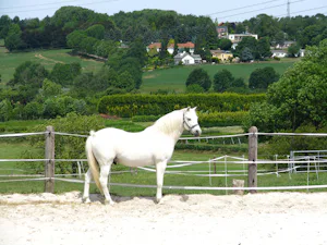 Camping Hubertus Hoeve