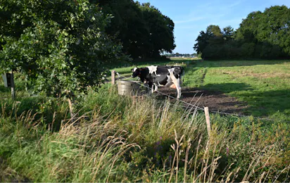 Camping Hunze Bulten