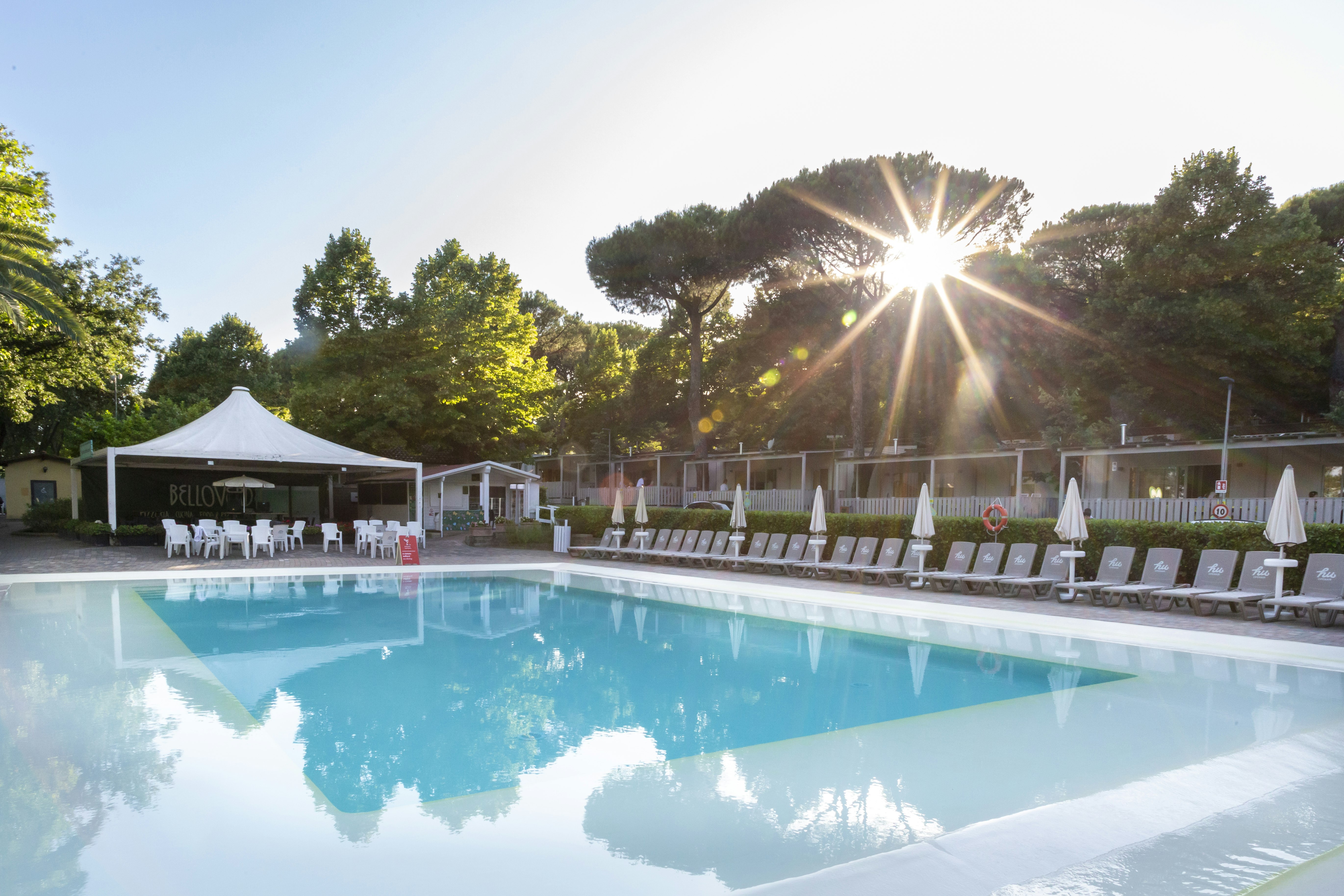 Schwimmbecken mit Liegestühlen und Sonnenschirmen am Campingplatz, im Hintergrund Bäume und ein weißes Zelt.