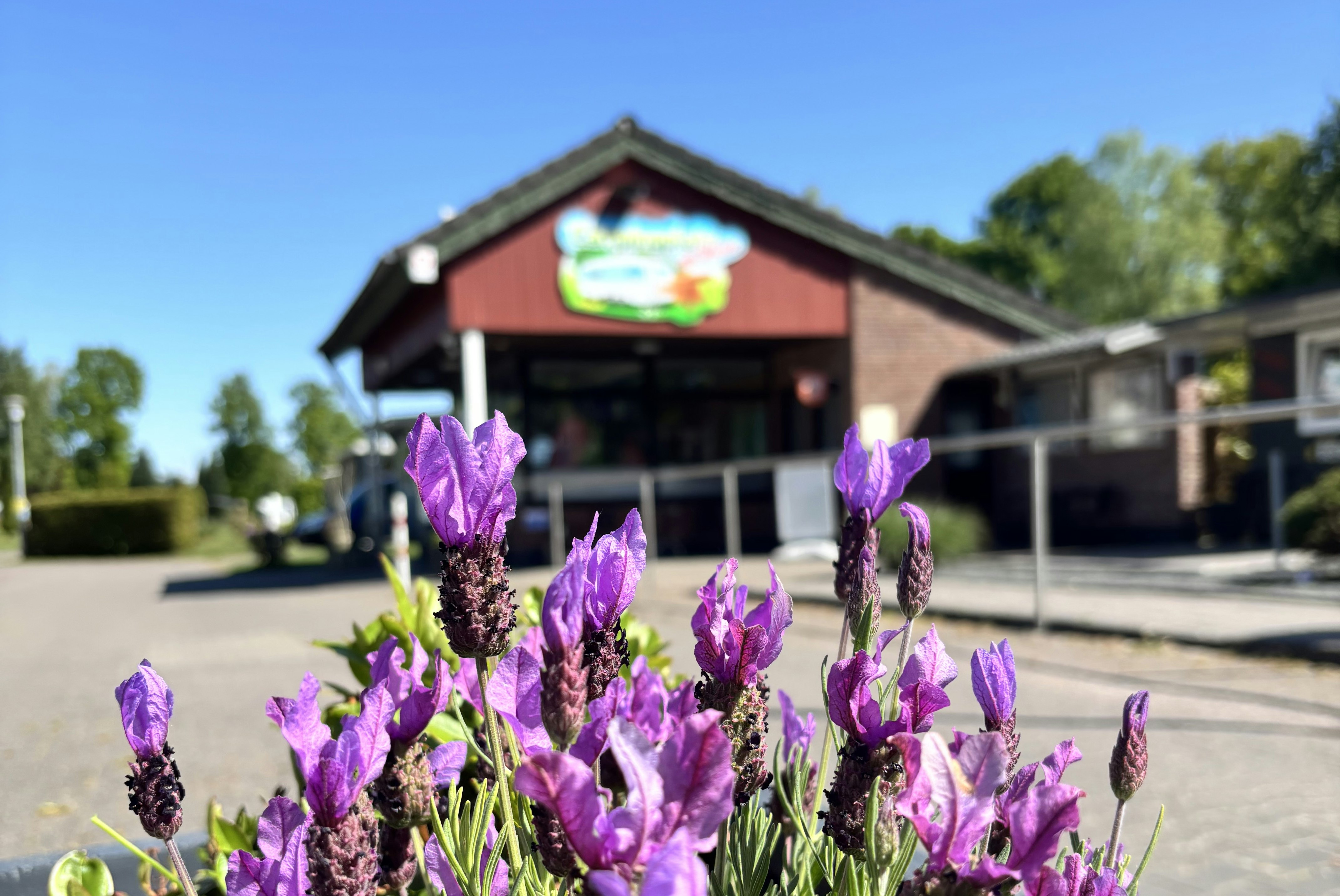 Camping Idasee - Eingang des Campingplatzes