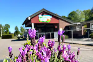 Camping Idasee - Eingang des Campingplatzes