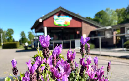 Camping Idasee