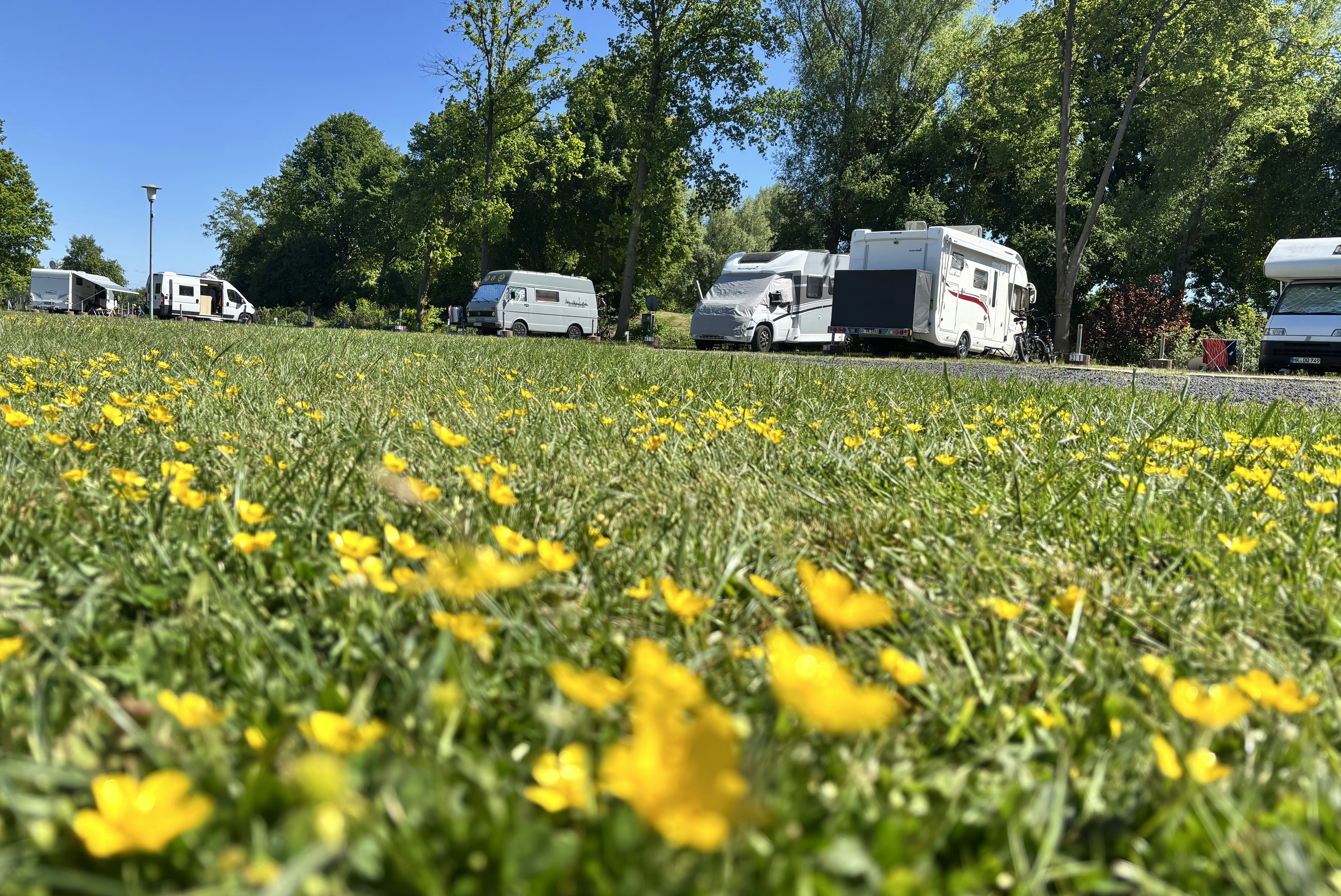 Camping Idasee - Standplätze im Grünen auf dem Campingplatz