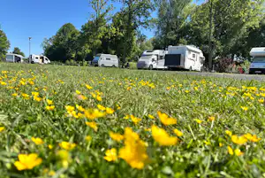 Camping Idasee - Standplätze im Grünen auf dem Campingplatz