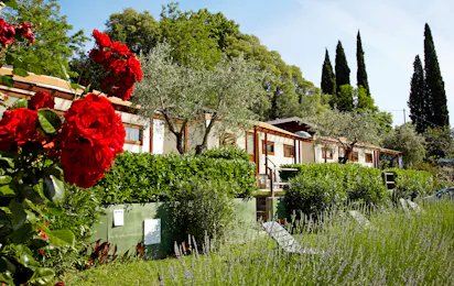 Camping Ideal Molino