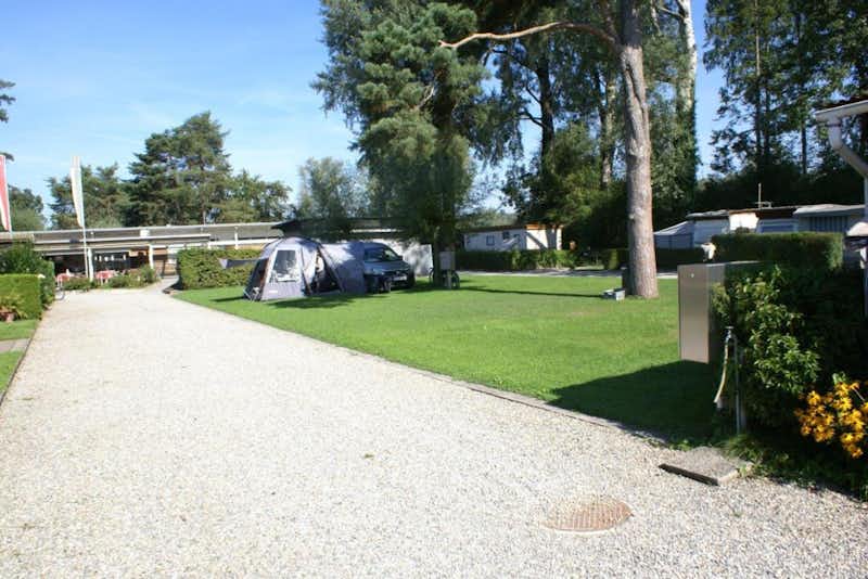 Camping Idyll  -  Wohnwagen- und Zeltstellplatz unter Bäumen auf dem Campingplatz