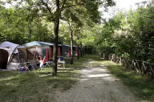 Camping Il Collaccio - Weg auf dem Campingplatz mit Stellplätzen unter Bäumen an der Seite