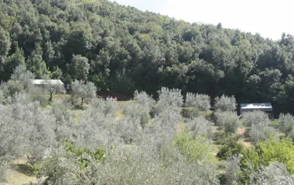 Camping Il Falcone