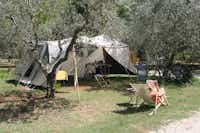 Camping Il Falcone  -  Zeltplatz vom Campingplatz auf grüner Wiese