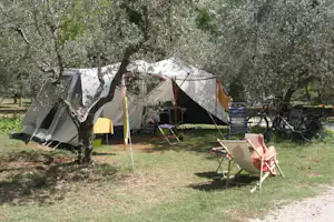 Camping Il Falcone - Zeltplatz vom Campingplatz auf grüner Wiese