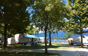 Camping Il Faro - Standplätze zwischen den Bäumen auf dem Campingplatz