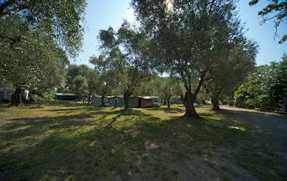 Camping Il Fontino