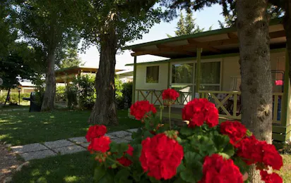 Camping Il Fontino
