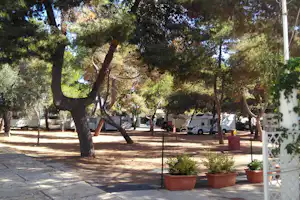 Camping Il Forte - Wohnwagen- und Zeltstellplatz vom Campingplatz im Schatten von Bäumen